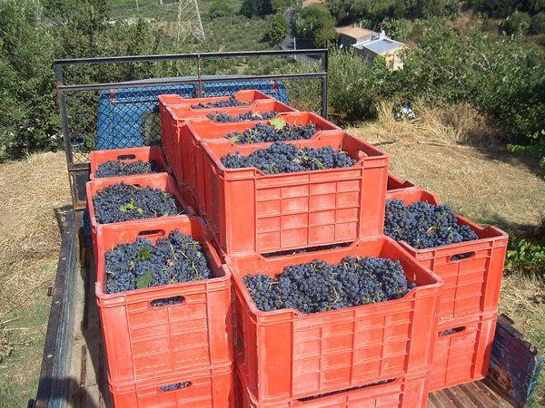 Agriturismo Parra Santa Lucia del Mela المظهر الخارجي الصورة