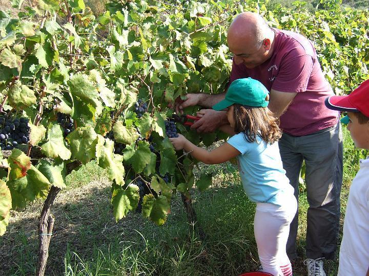 Agriturismo Parra Santa Lucia del Mela المظهر الخارجي الصورة